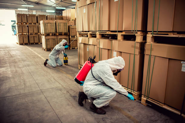 Best Mosquito Control Services  in Montgomery, AL
