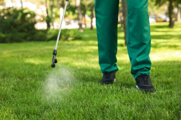 Best Affordable Pest Control Services  in Montgomery, AL