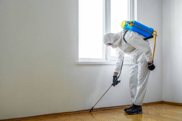 Best Local Pest Control Services  in Montgomery, AL