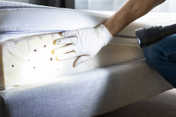 Best Flea Control Services  in Montgomery, AL