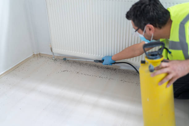 Best Termite Control Services  in Montgomery, AL