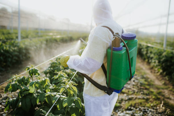 Best Wasp Removal Services  in Montgomery, AL